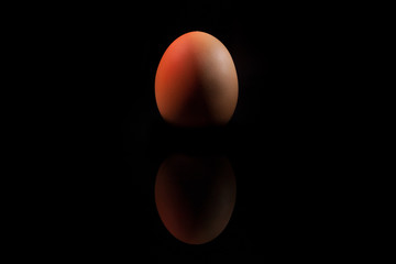 Egg on Black background reflected with red light
