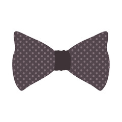 bow tie accessory icon over white background. vector illustration