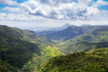 Tropischer Dschungel auf Mauritius