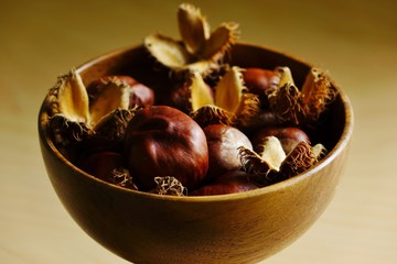 herbst