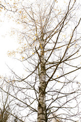  Different views of autumn scenery