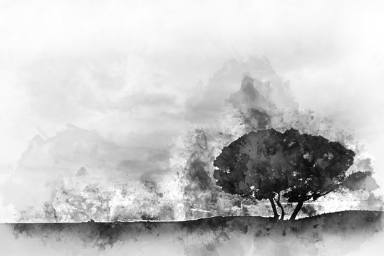 Tree outdoors. Digital watercolour painting. Black and white