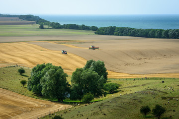 Fototapeta premium Ackerlandschaft auf Rügen
