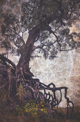 Creepy old tree with exposed tangled roots on an eroded gully. Grunge textured, vintage style image.