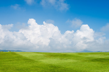 grass field background