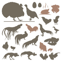 Hen Cock Rooster and Turkey - Grilled Chicken Vector Silhouette