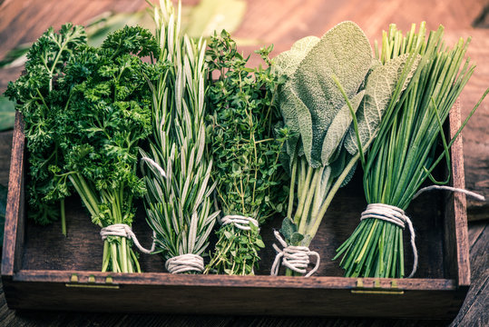 Close View On Fresh Herbs