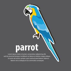 Cartoon parrots wild animal birds. Tropical parrots feather zoo birds, tropical fauna macaw . Brazil Macaw color blue . vector illustration.