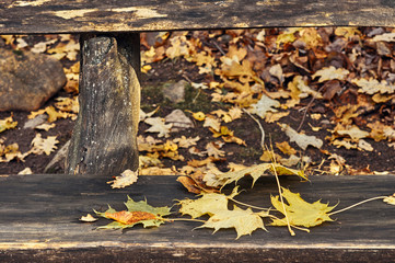 Fototapeta na wymiar Yellow and red leaves on a bench