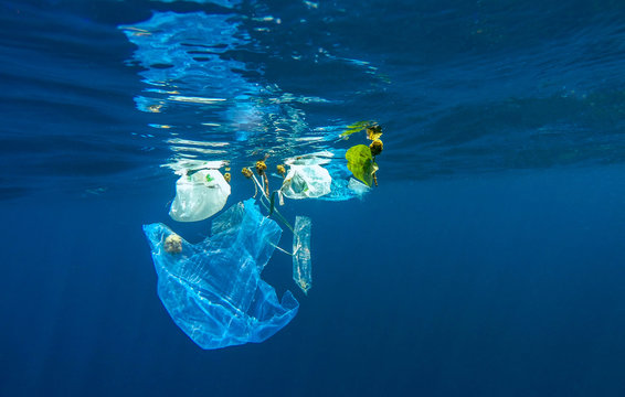 Marine pollution of plastic