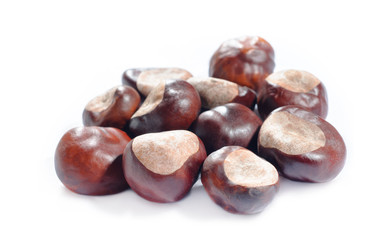 horse-chestnu on white background