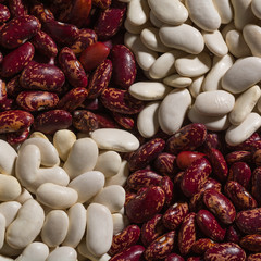 Red and white beans in a background