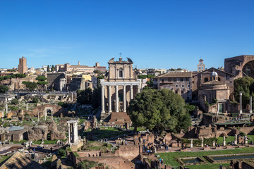 Fototapeta premium Roma Veduta del Foro Romano