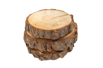 Cross section of tree trunk on white background