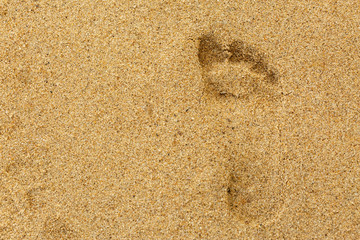 Footprints in the Sand