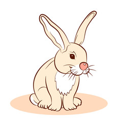 rabbit vector illustration  cartoon