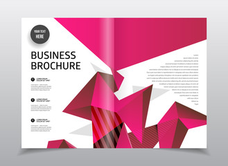 Business Brochure design. Annual report vector illustration temp