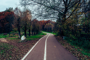 Осенний парк. 6