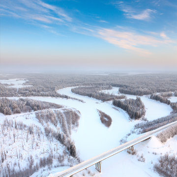 Winter forest with frosty trees, top view
