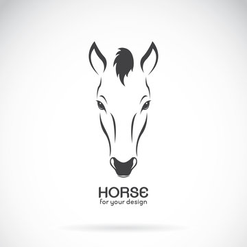 Vector image of a horse head design on white background, Vector