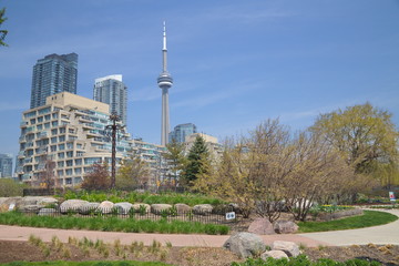 Toronto downtown