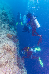A group of divers near a coral wall