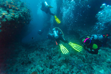 Fototapeta na wymiar A group of divers near a coral wall