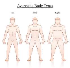 Ayurvedic body constitution types - vata, pitta, kapha. Outline illustration of three men with different anatomy.