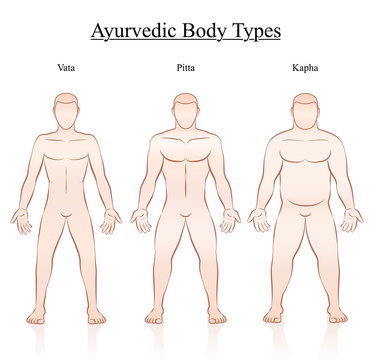 Ayurvedic body constitution types - vata, pitta, kapha. Outline illustration of three men with different anatomy.