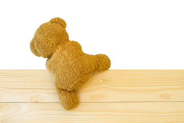 Teddy bear climbing the wood wall