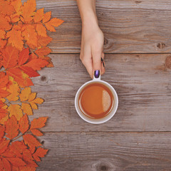 Woman hand holding perfect cup of tea on wooden table with autum