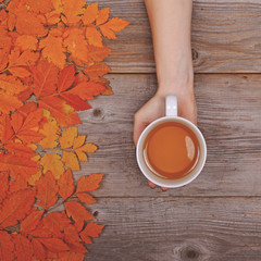 Woman hand holding perfect cup of tea on wooden table with autum