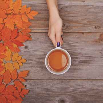 Woman hand holding perfect cup of tea on wooden table with autum