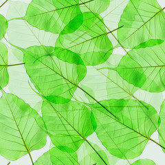 Naklejka na ściany i meble Seamless green leaves background