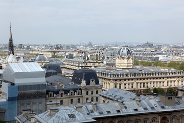 view of Paris with the Seine river from the Notre Dame Cathedral