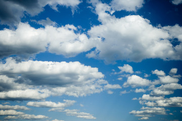 Obraz premium Fluffy Day