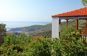 Fototapeta premium Summerhouse