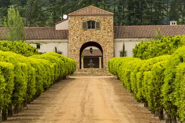Stellenbosch Weinregion in der Nähe von Kapstadt, Südafrika © Benjamin