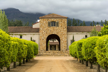 Stellenbosch wine region close to Cape Town, South Africa
