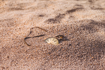 Still life - Antique rotten pocket watch buried partial in the sand