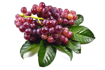 Ripe red grapes with leaves isolated. on the white background.