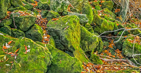 Stones wrapped with moss and dried leaves