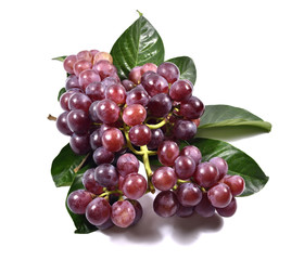 Ripe red grapes with leaves isolated. on the white background.