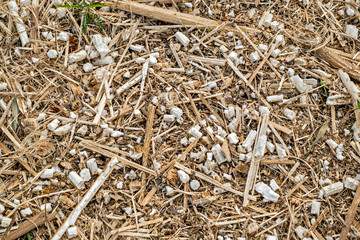 Sunflower field after harvest, sunflower stalk compost top view