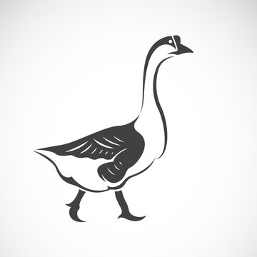 Vector image of a goose on white background, Vector goose logo.