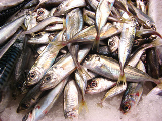 Obraz premium Fishes in market