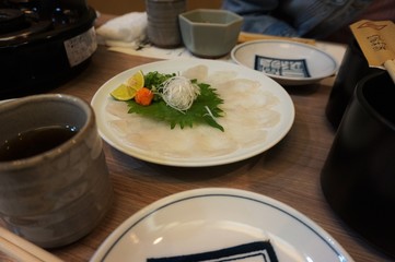 Japan Puffer fish