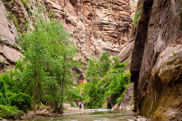 Fototapeta premium Zion National Park
