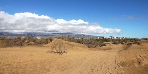 Spain. Gran Canaria island. Dunes of Maspalomas