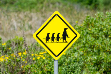 Penguin crossing sign in Port Elisabeth, South Africa